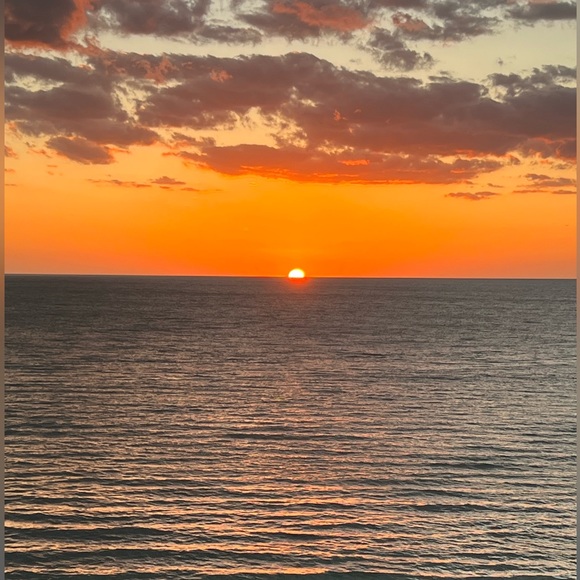 Meet your Posher, Anjili - Picture 1 of 1